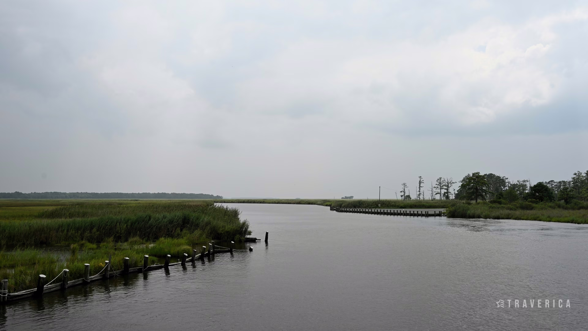 Blackwater National Wildlife Refuge — photo 3