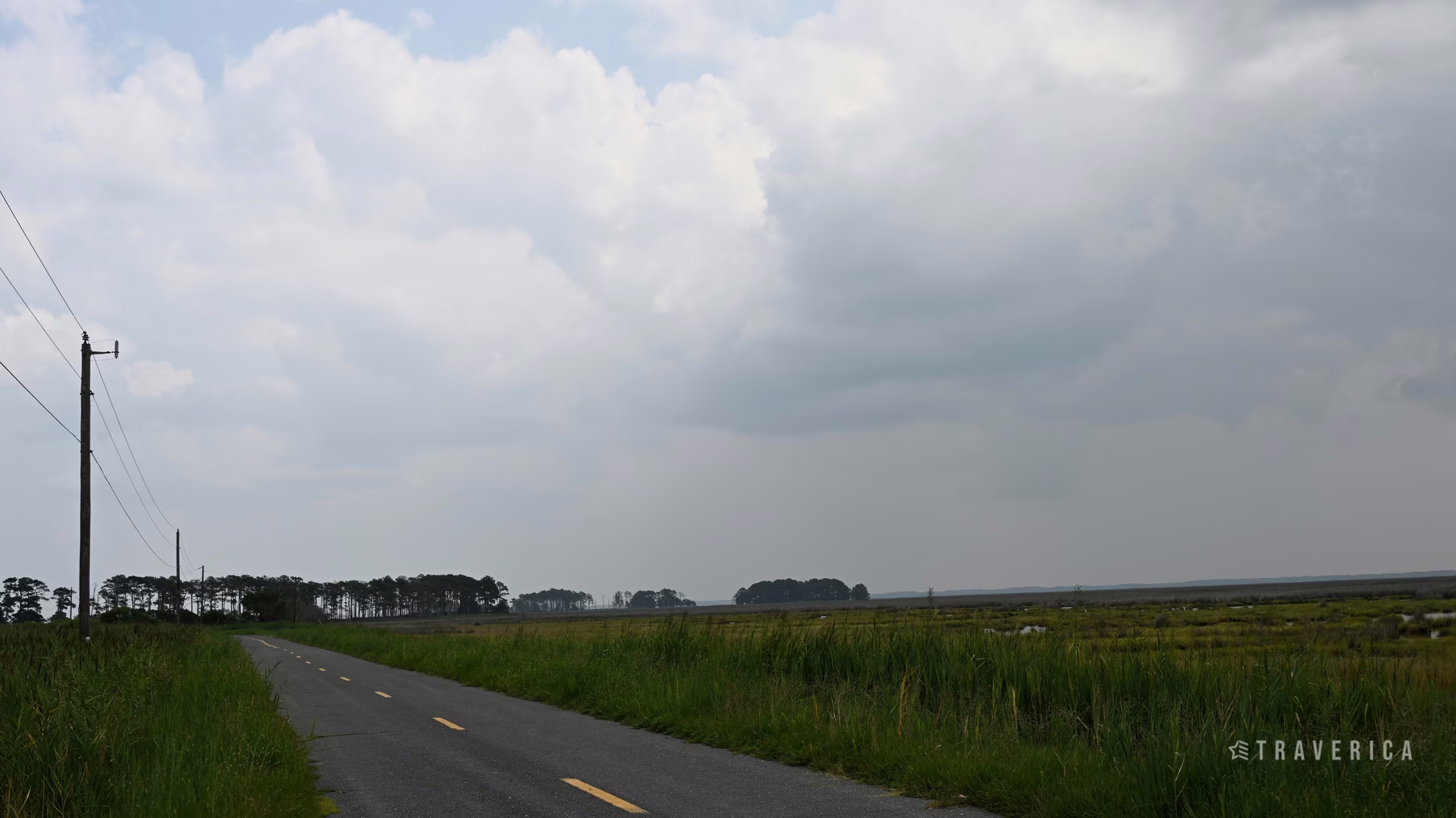 Blackwater National Wildlife Refuge — photo 1
