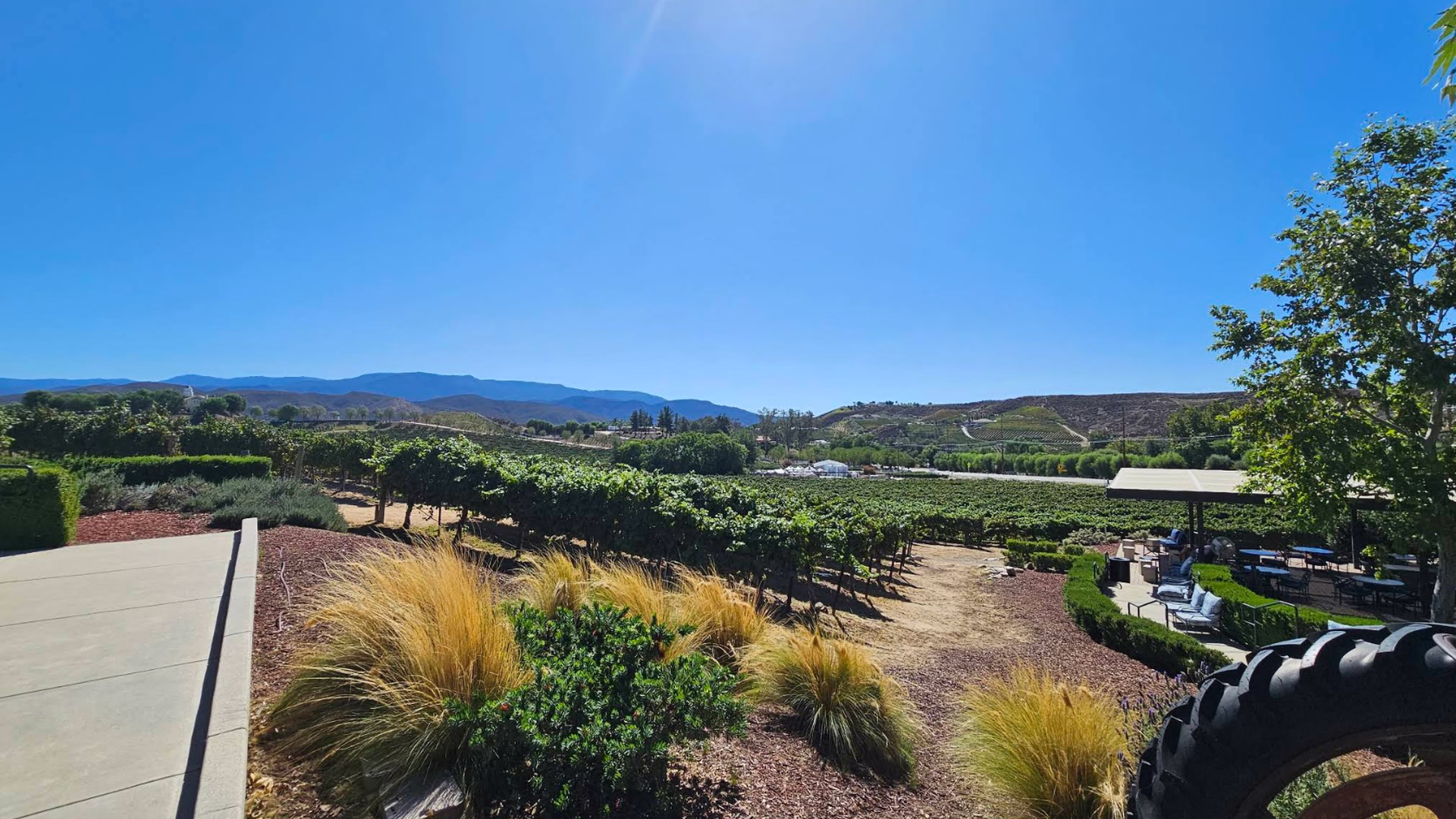 Leoness Cellars — photo 1