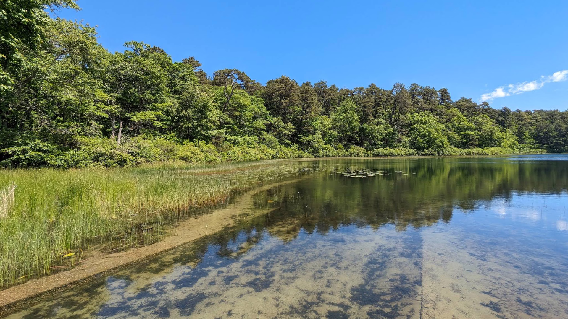 Nickerson State Park — photo 1