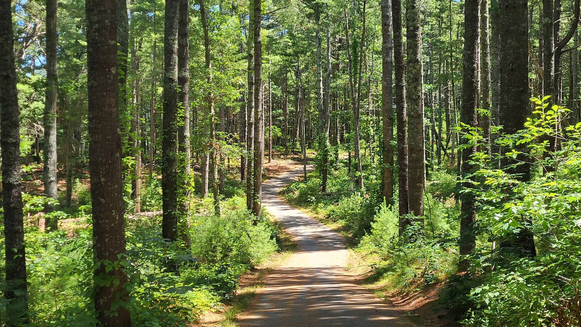 Nickerson State Park — photo 2