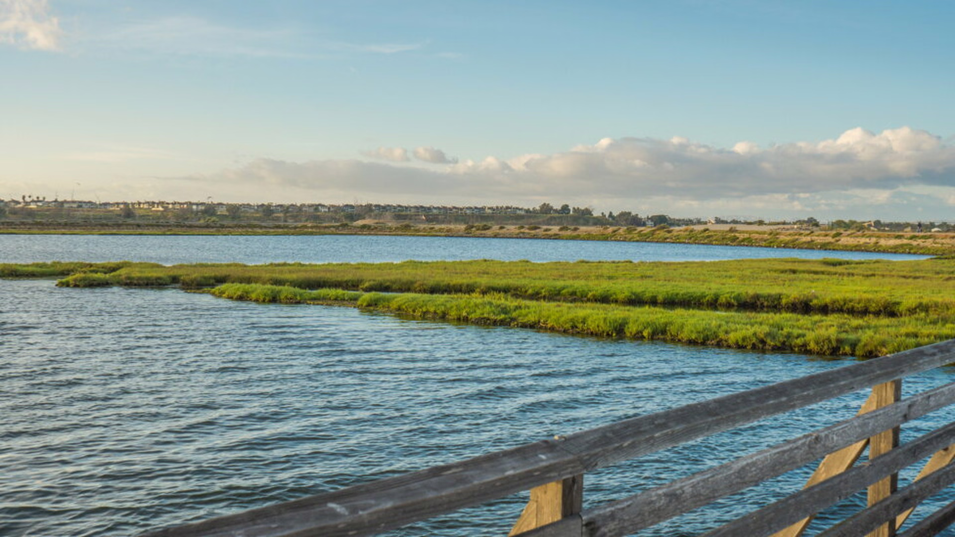 Bolsa Chica Ecological Reserve — photo 1