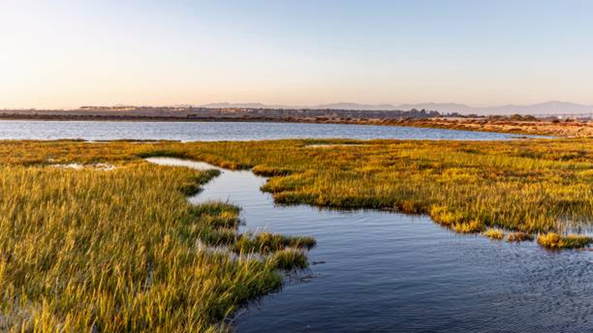 Bolsa Chica Ecological Reserve — photo 2