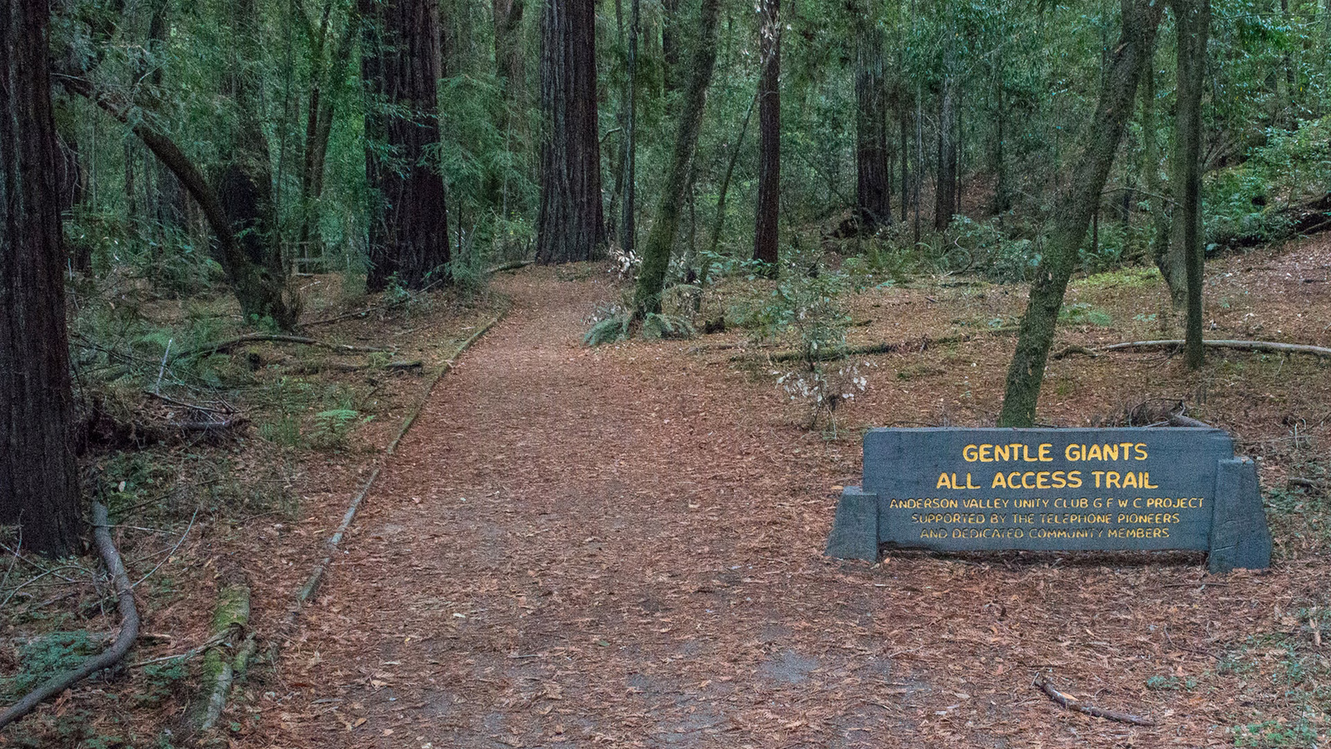 Hendy Woods State Park — photo 1