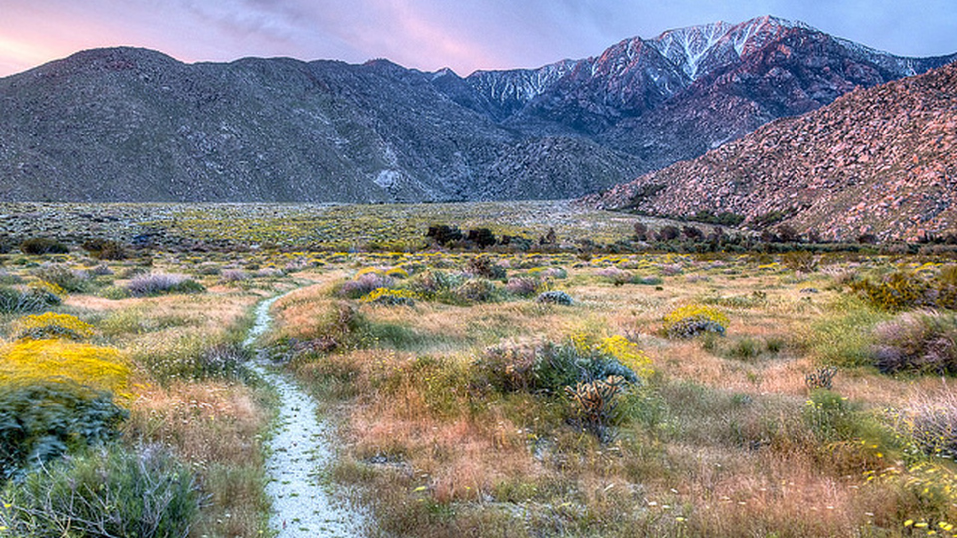 Santa Rosa & San Jacinto Mountains National Monument Visitor Center — photo 1