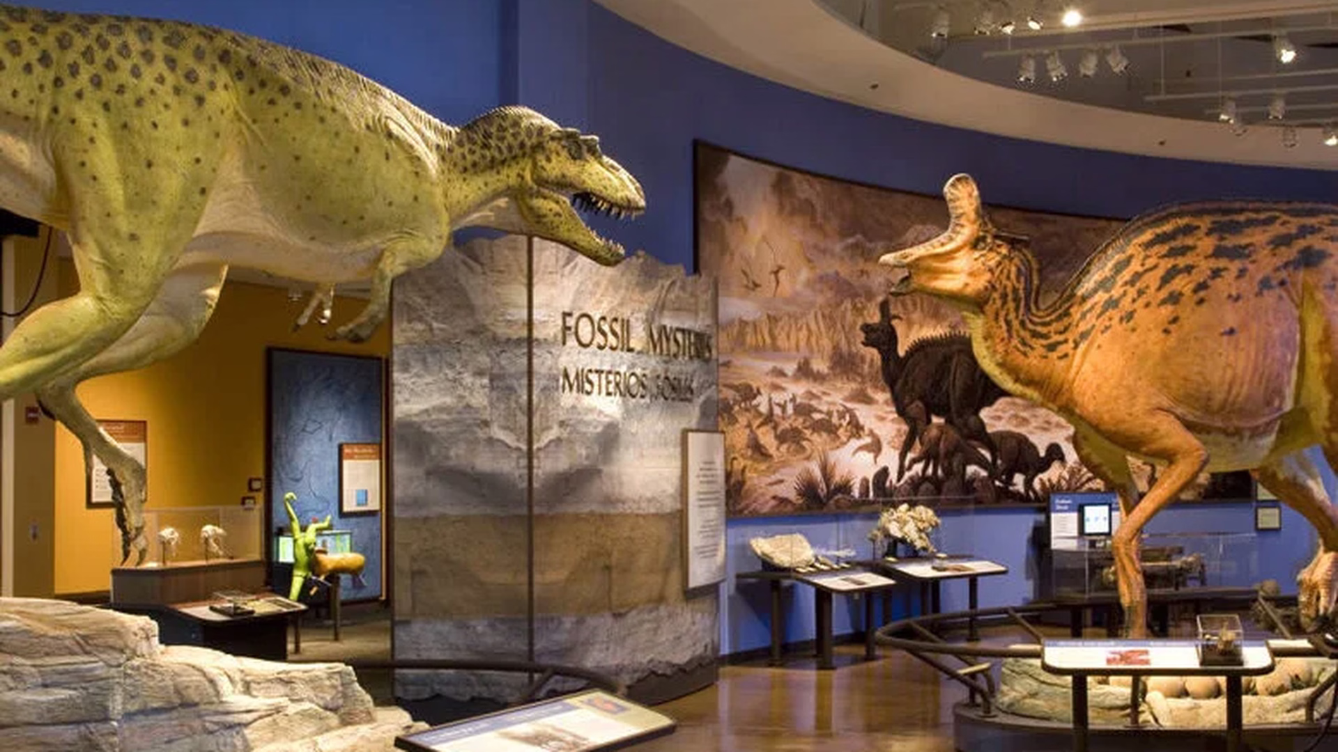San Diego Natural History Museum — photo 2