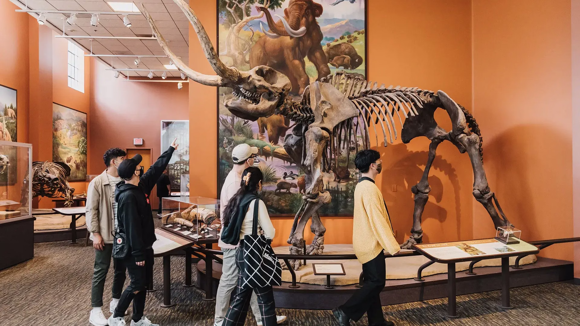 San Diego Natural History Museum — photo 1
