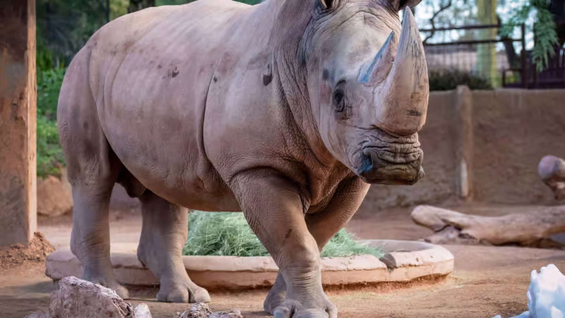 Phoenix Zoo — photo 2