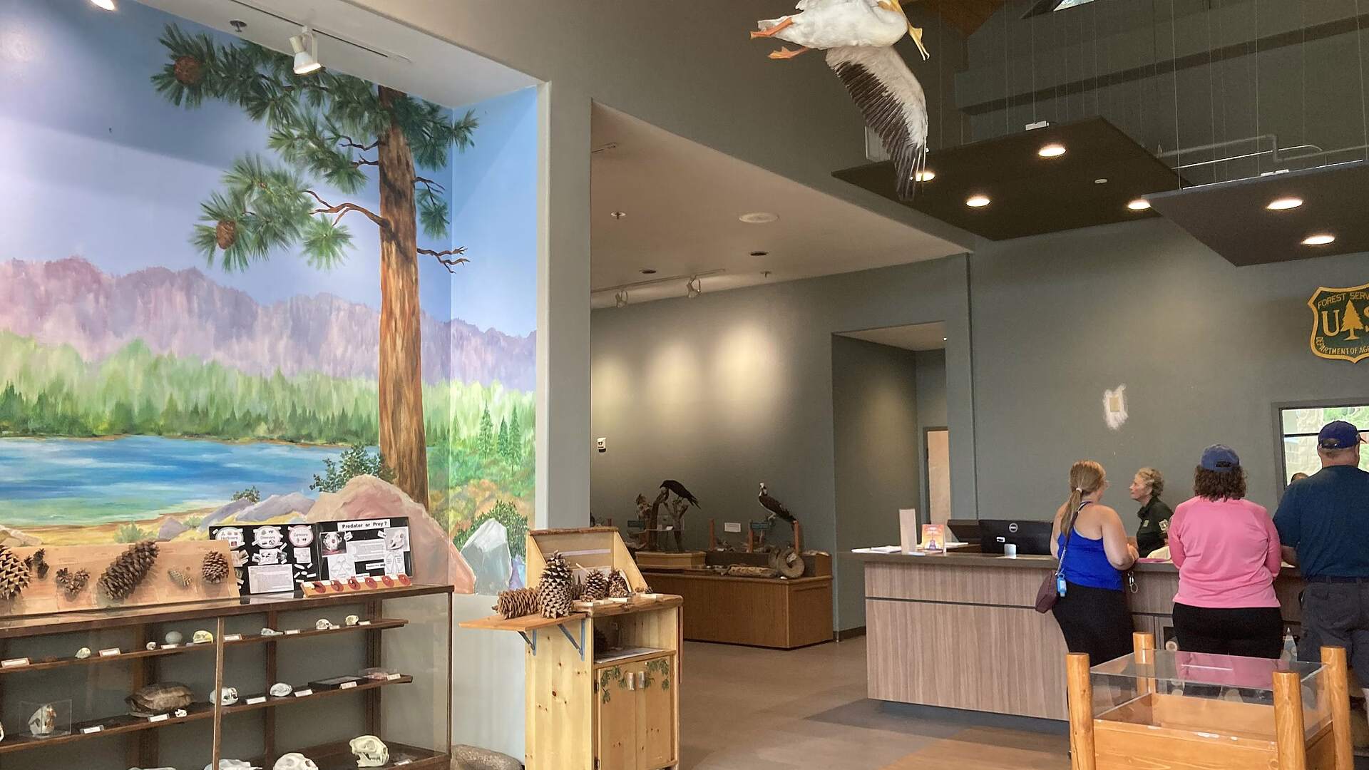 Big Bear Discovery Center — photo 1