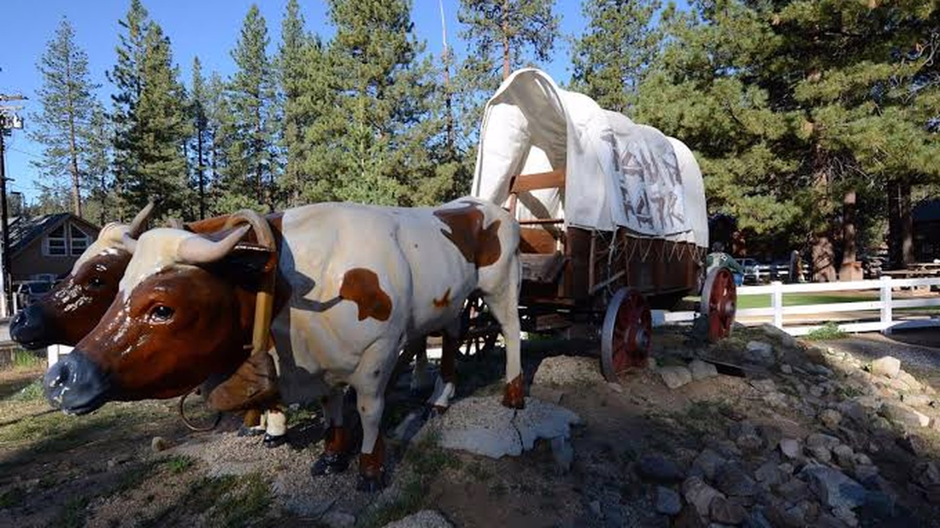 Big Bear Discovery Center — photo 2