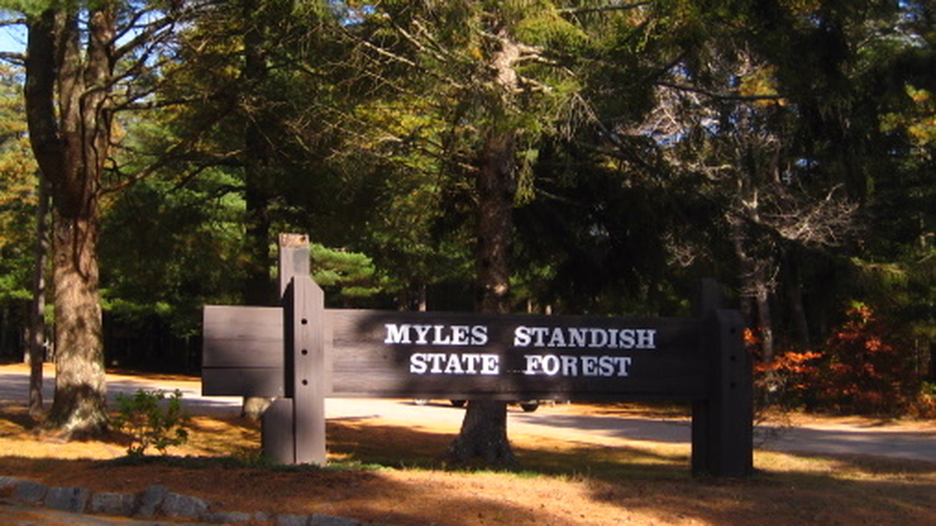 Myles Standish State Forest — photo 1