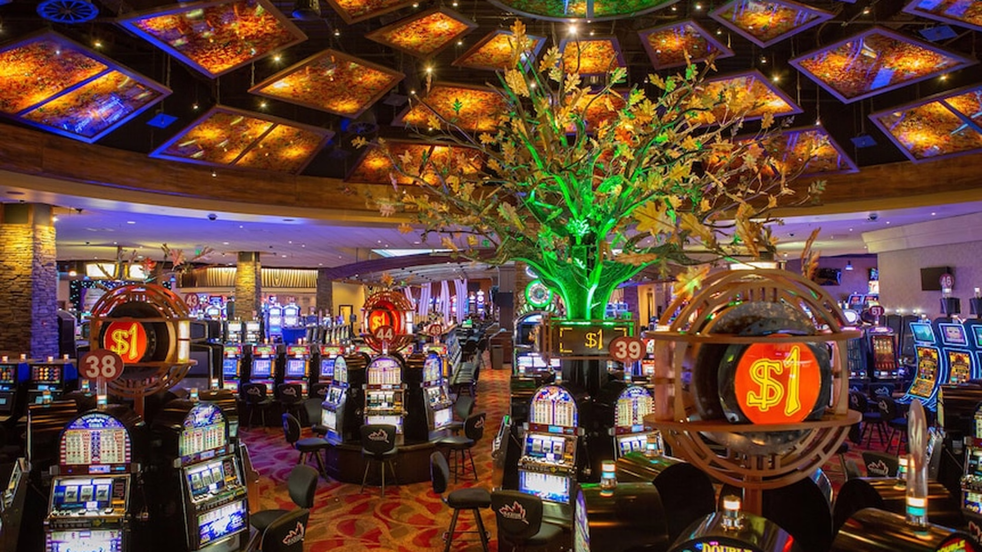 Black Oak Casino Resort — photo 2