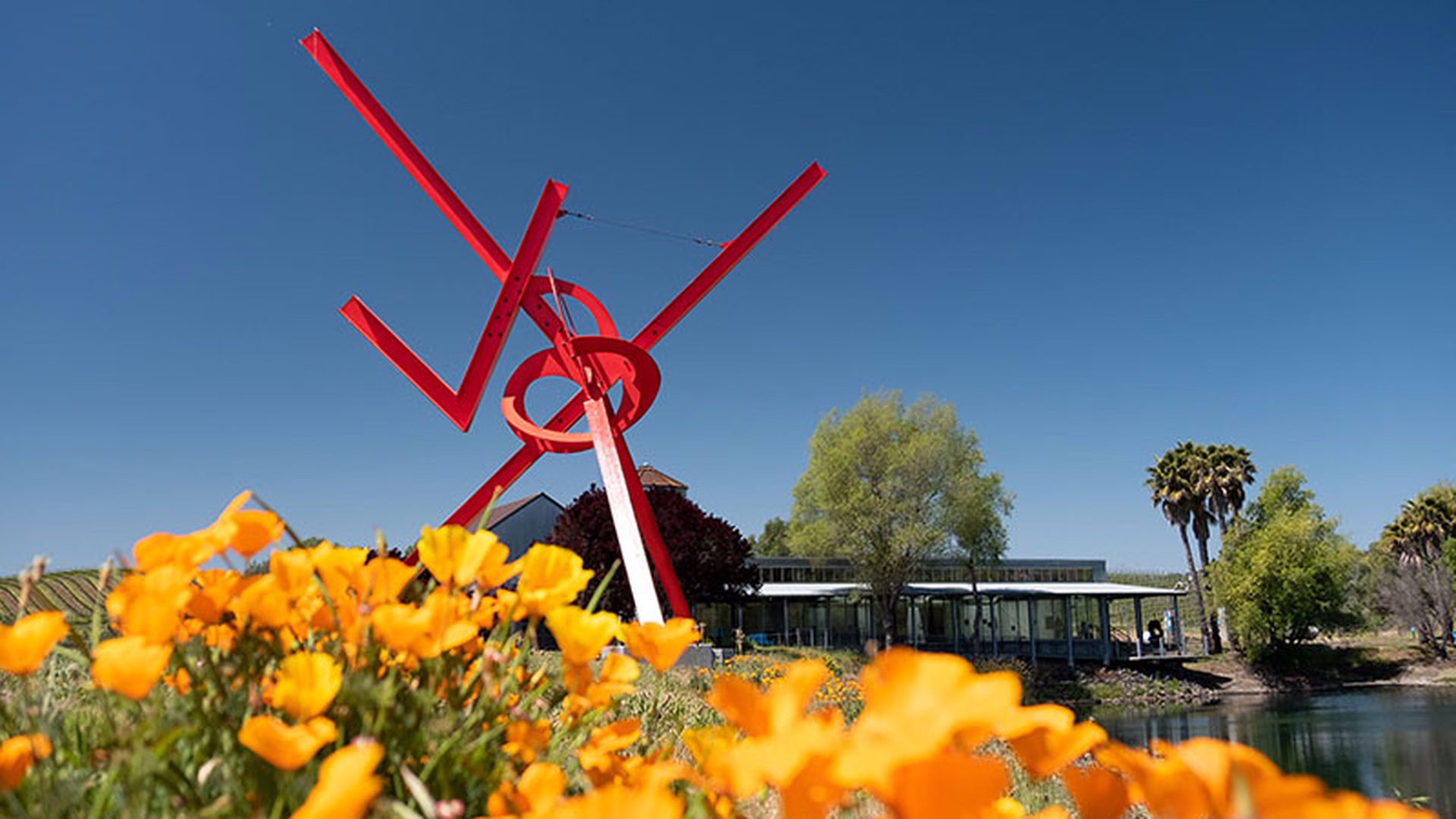 di Rosa Center for Contemporary Art — photo 2