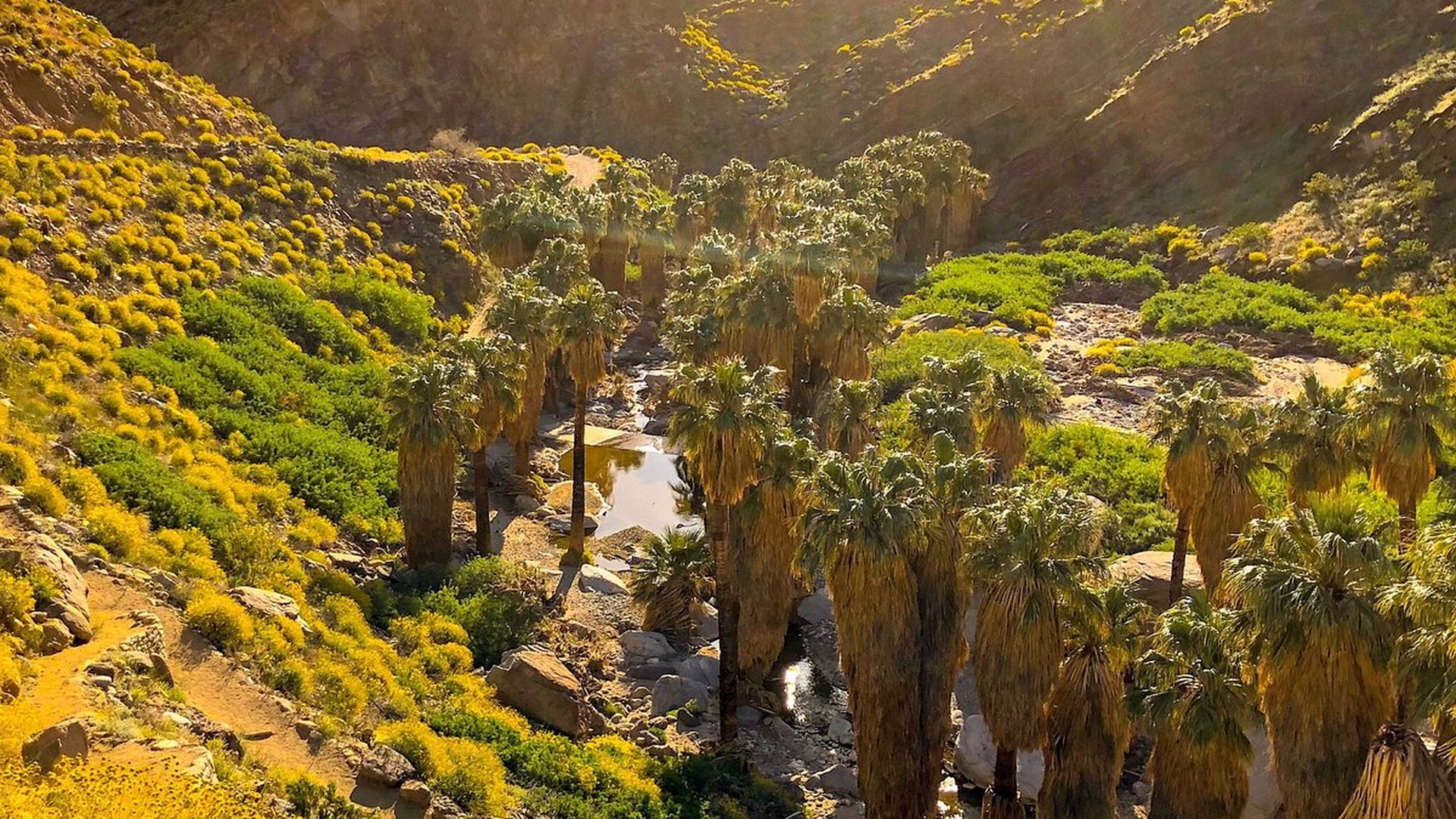 Indian Canyons — photo 2
