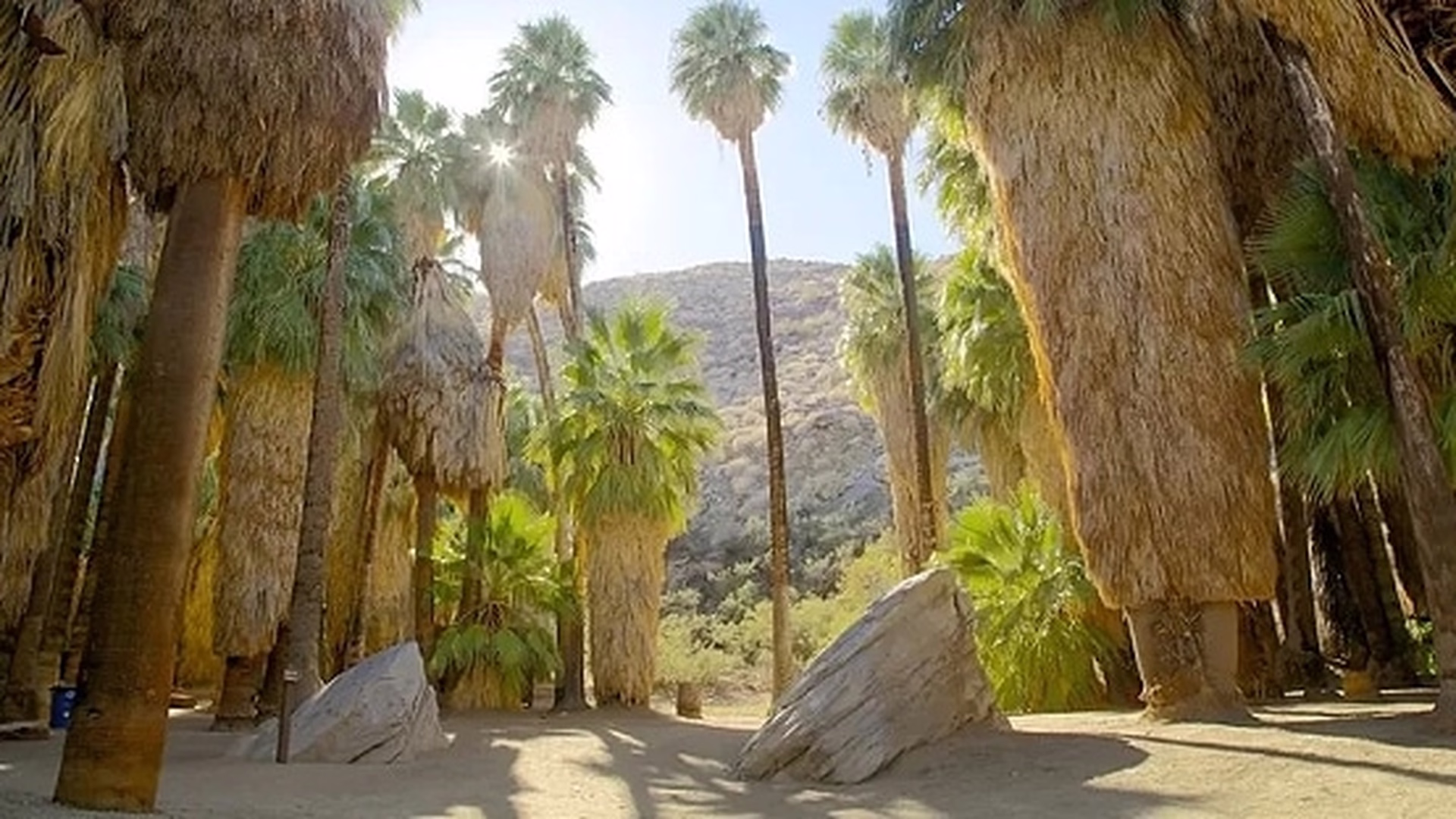 Indian Canyons — photo 1