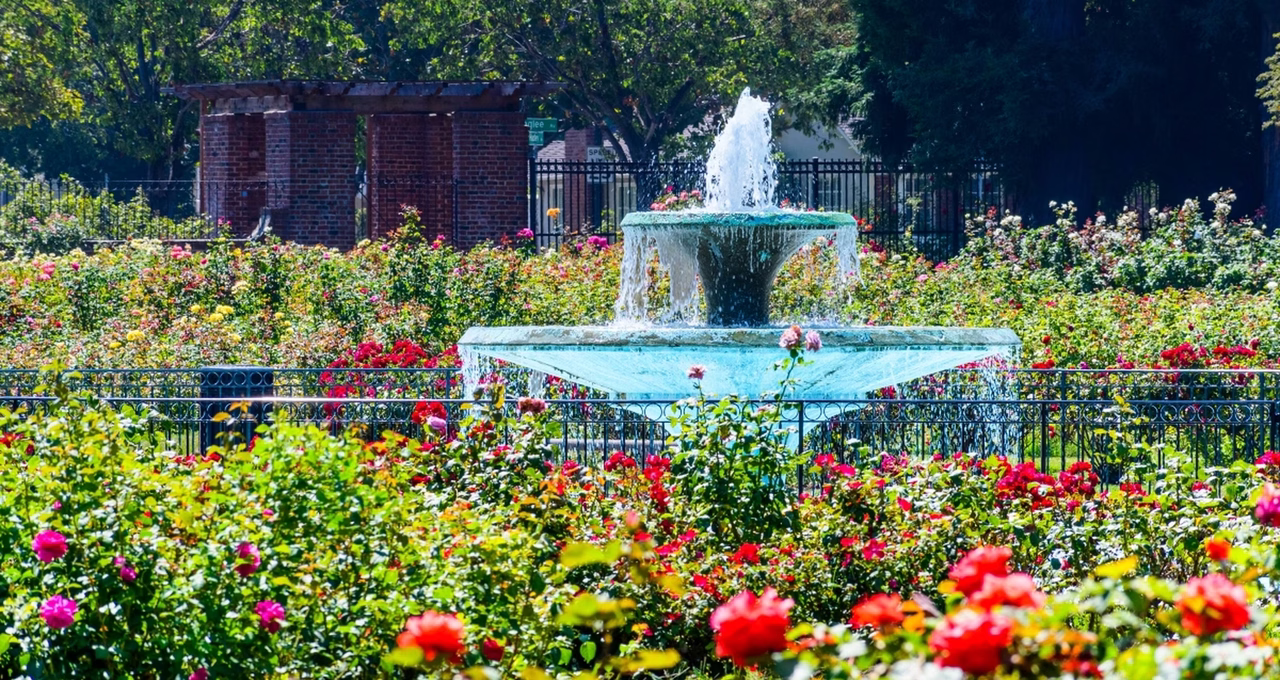 San Jose Municipal Rose Garden
