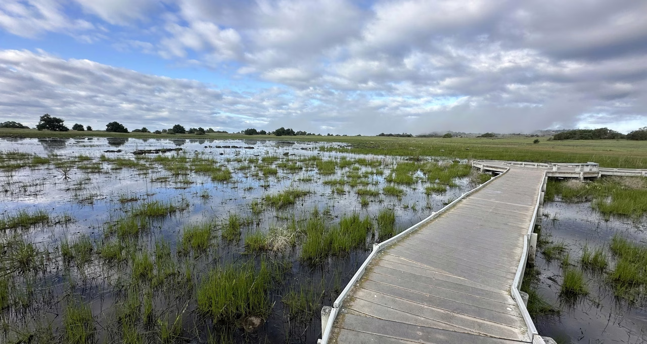 Santa Rosa Plateau Ecological Reserve
