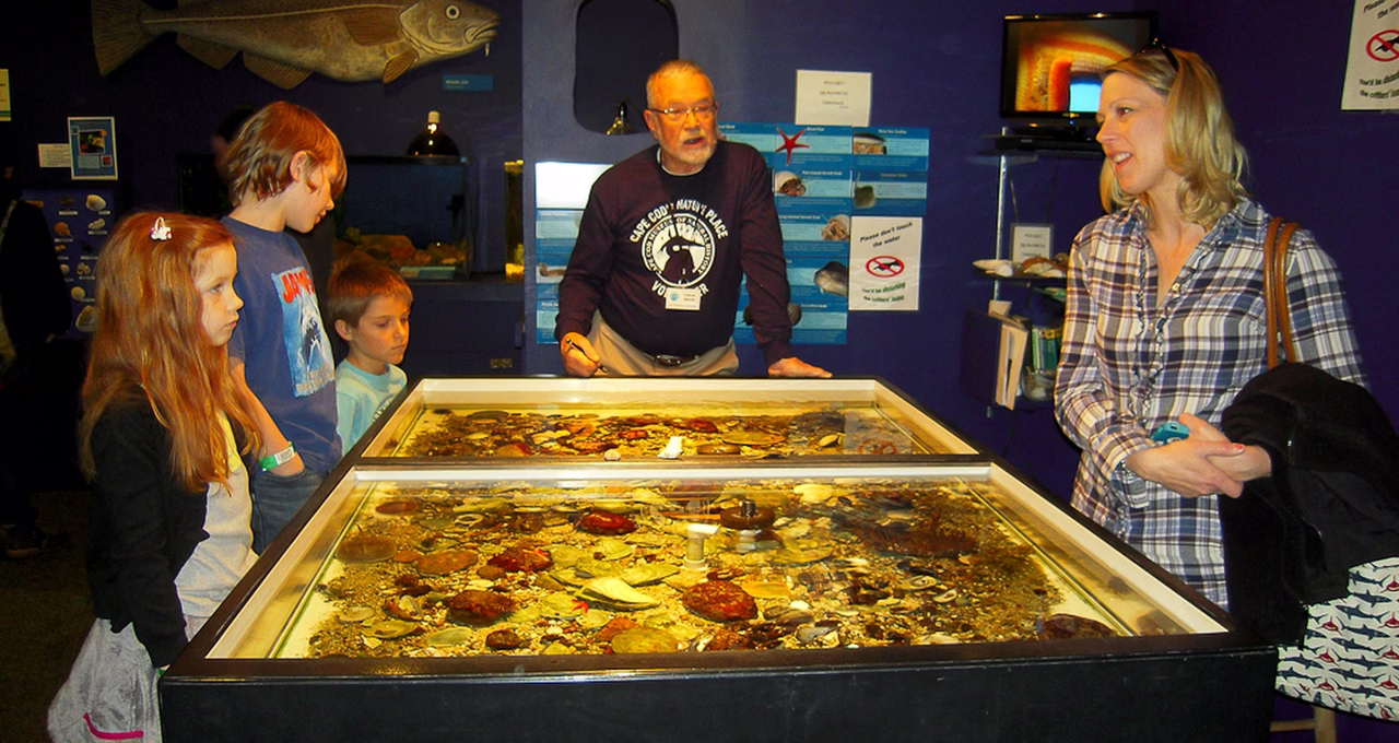 Cape Cod Museum of Natural History