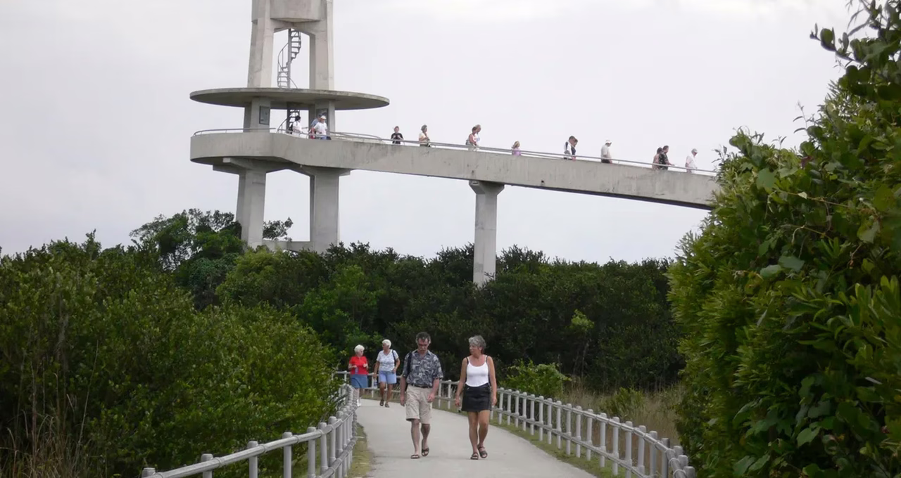 Everglades National Park (Shark Valley)