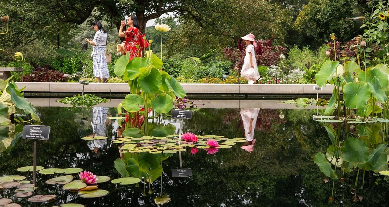 Brooklyn Botanic Garden