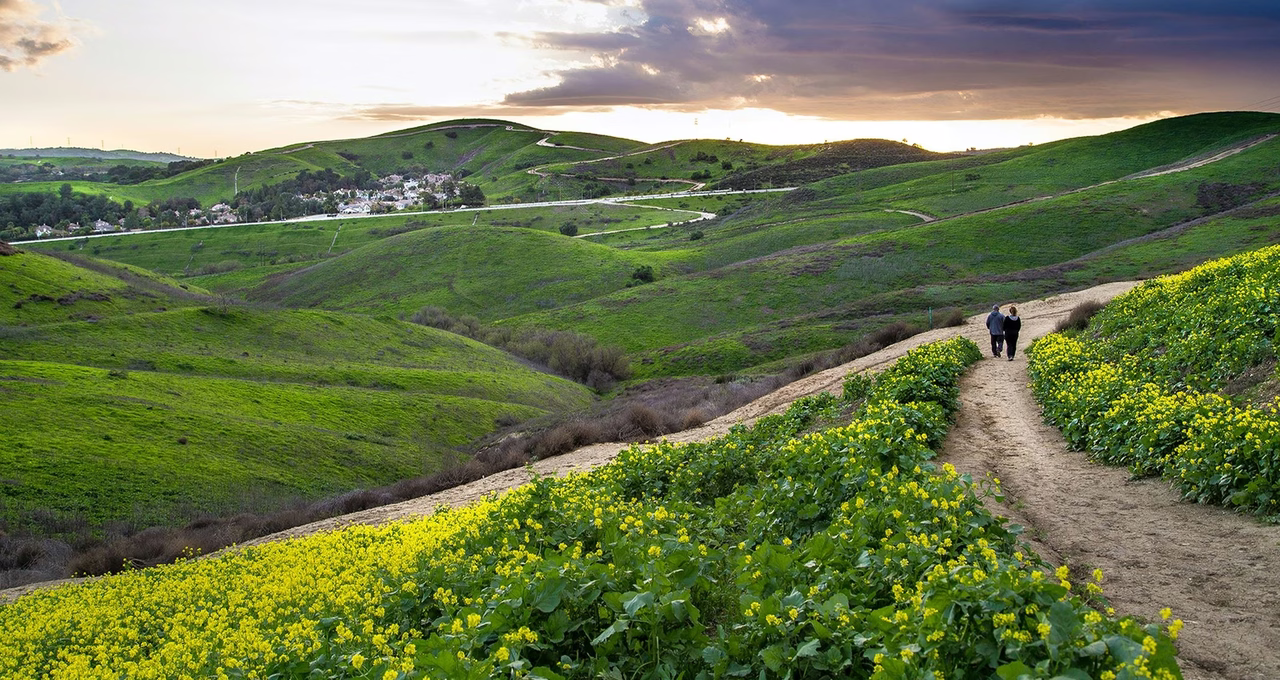 Chino Hills State Park