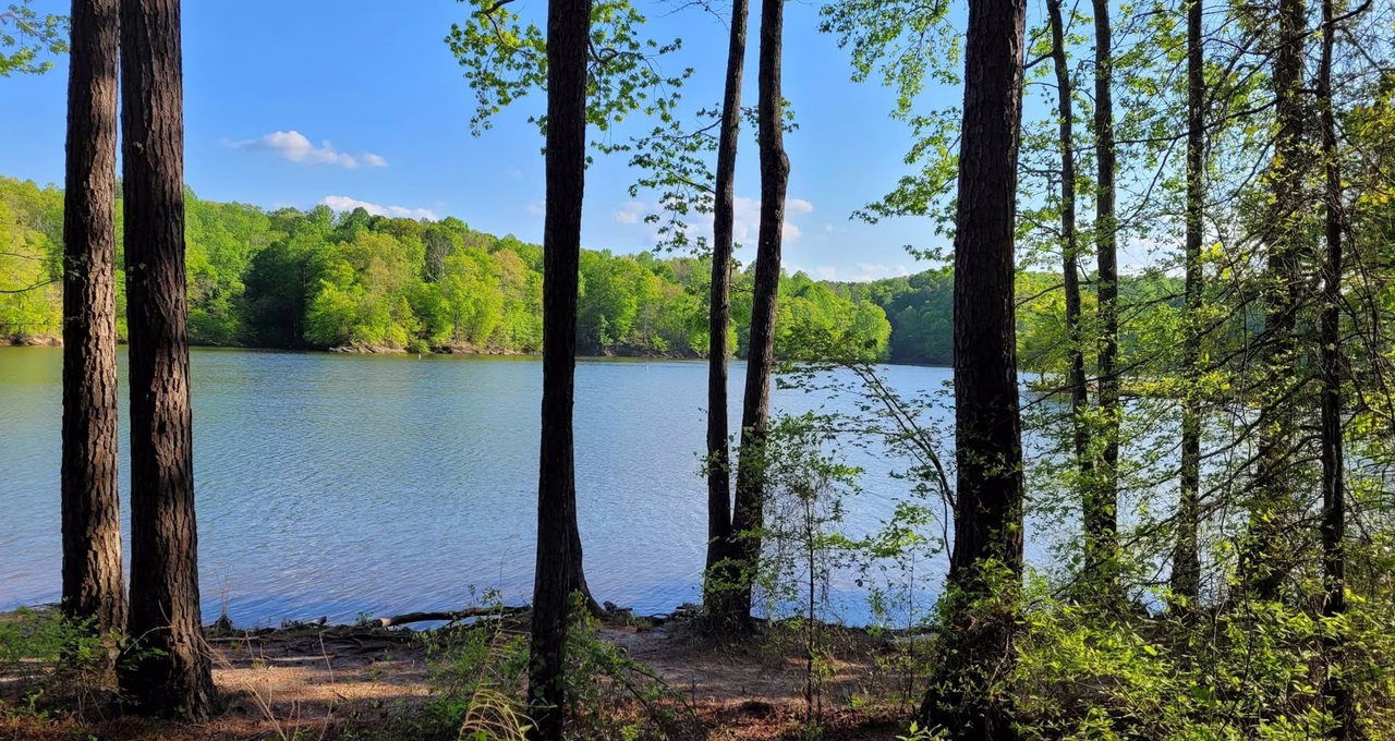 Holly Point Campground State Recreation Area
