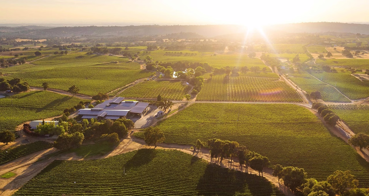 Terra d'Oro Winery