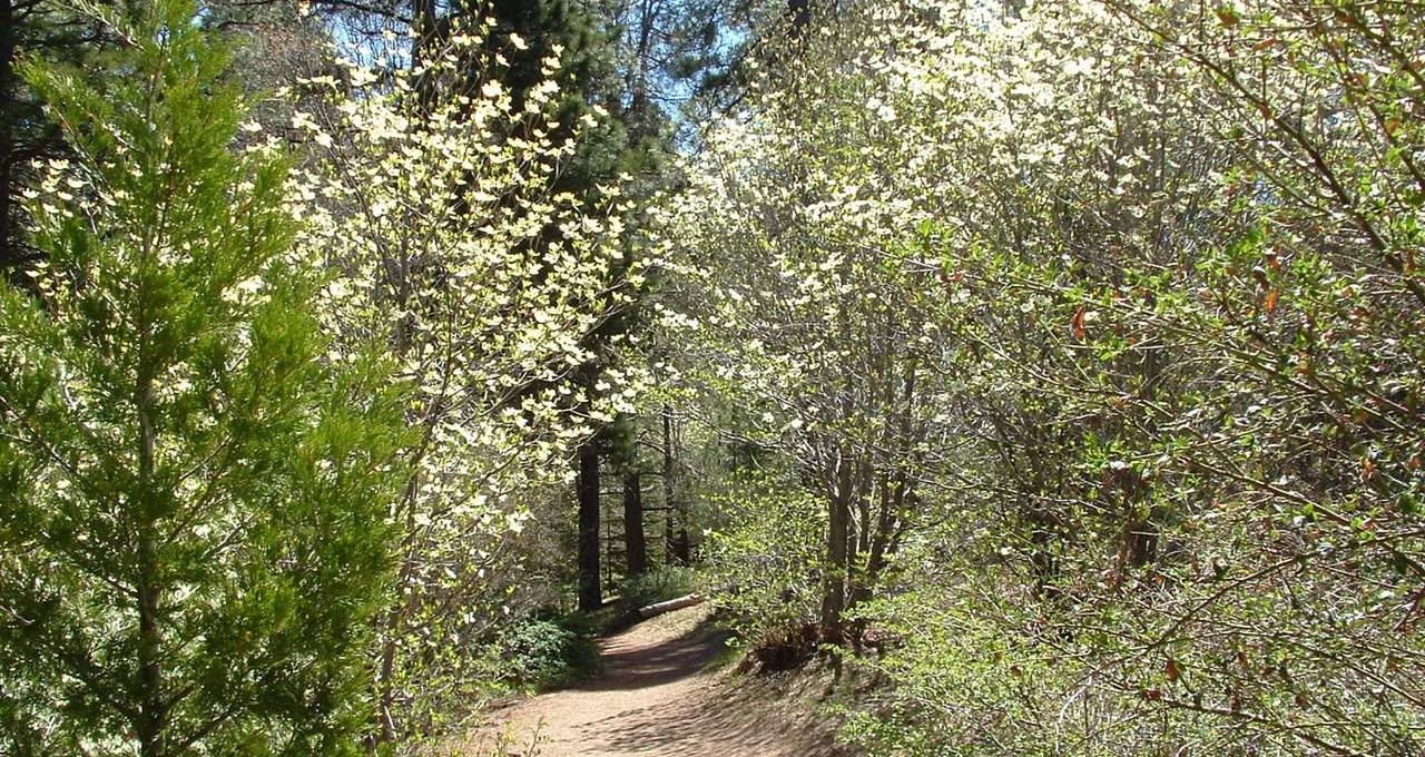 Heaps Peak Arboretum