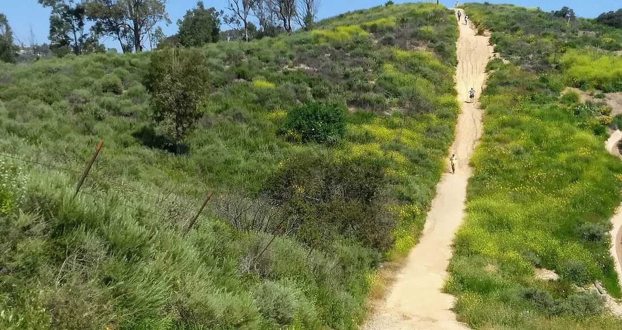 Peters Canyon Regional Park