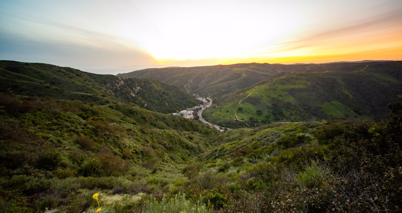 Aliso and Wood Canyons Wilderness Park