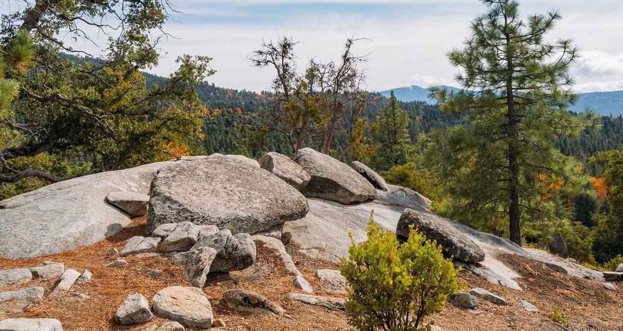 Idyllwild Nature Center