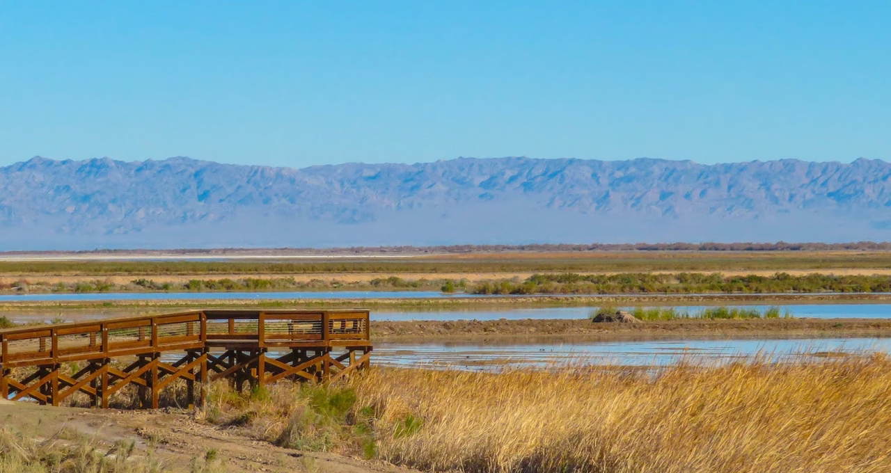 Sonny Bono Salton Sea National Wildlife Refuge