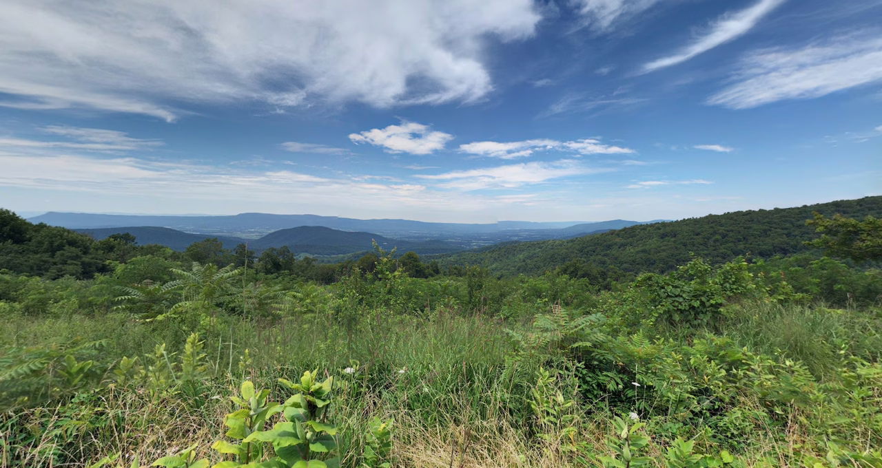 Swift Run Overlook