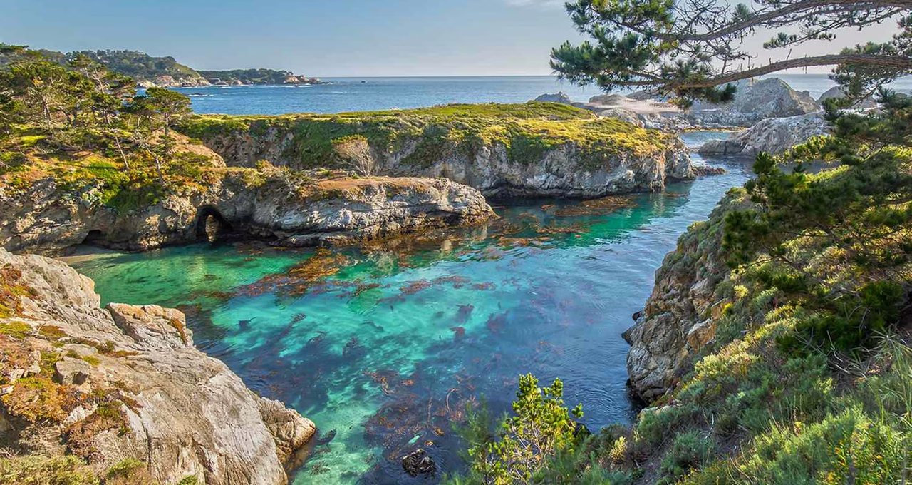 Point Lobos State Natural Reserve