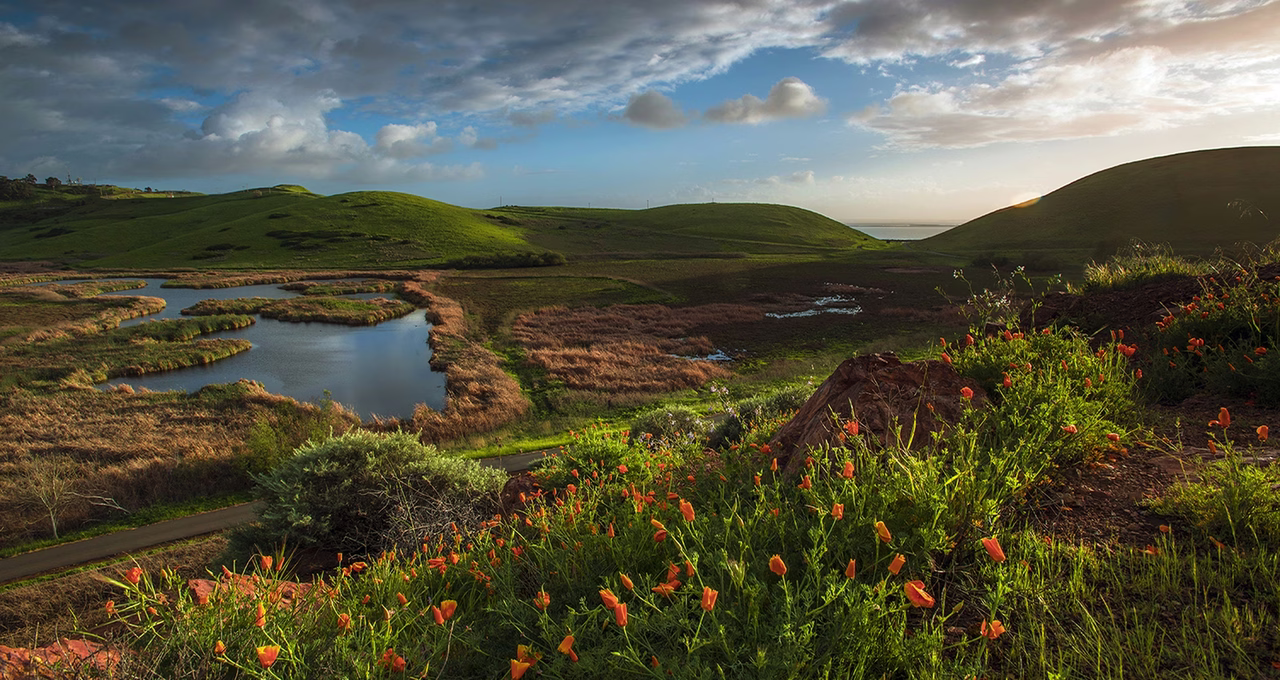 Coyote Hills Vista Point