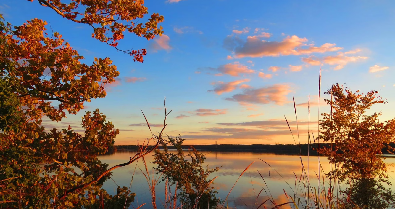 Falls Lake Causeway