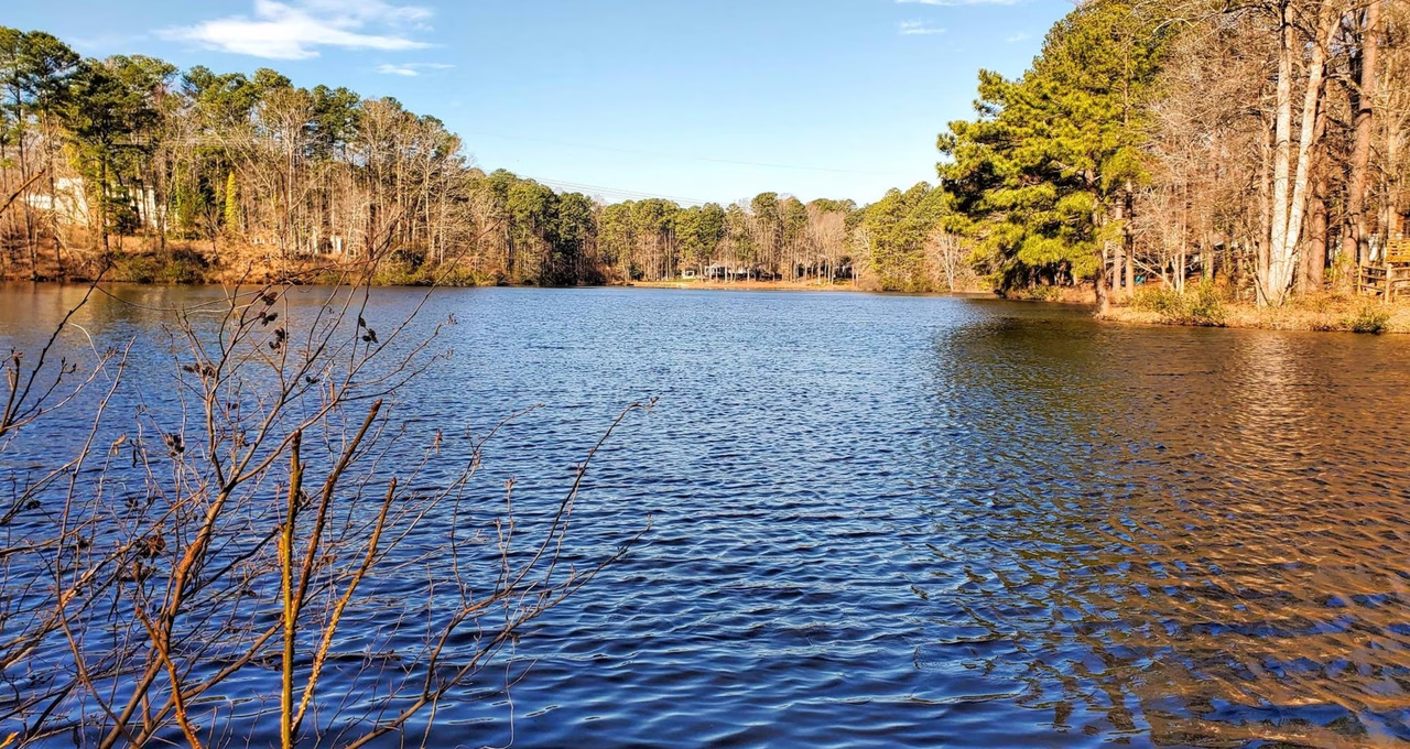 Lower Springdale Estates Lake