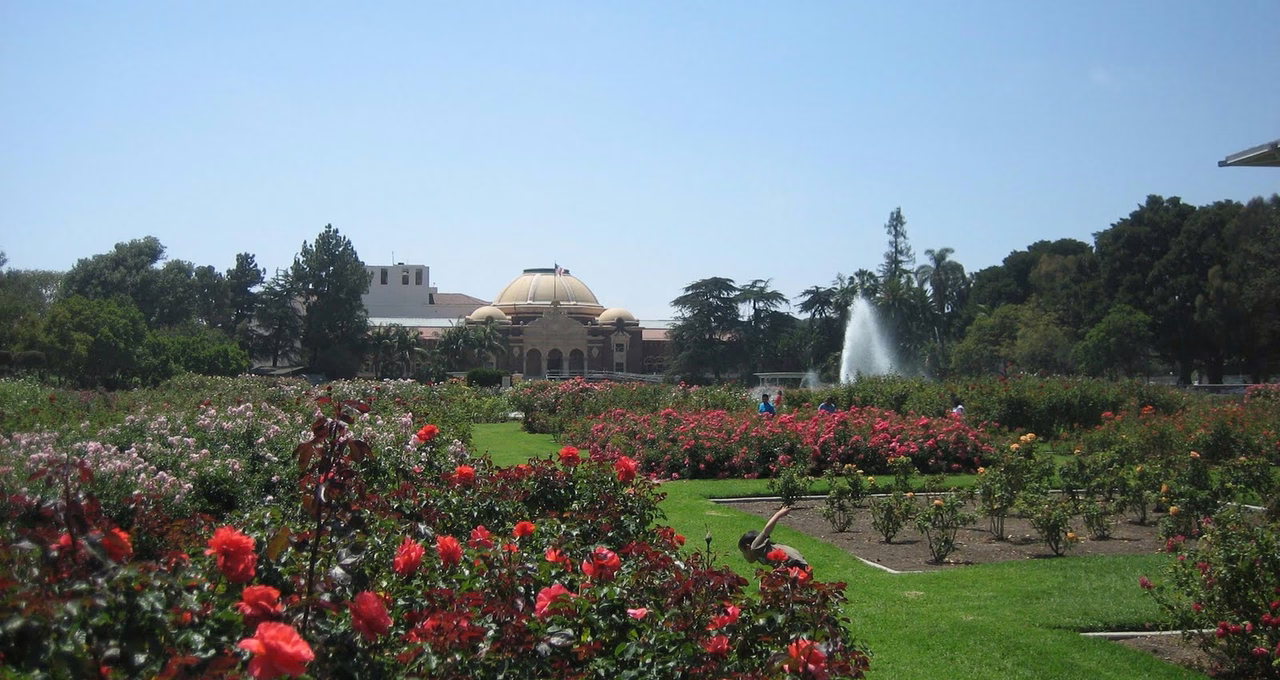 Exposition Park Rose Garden