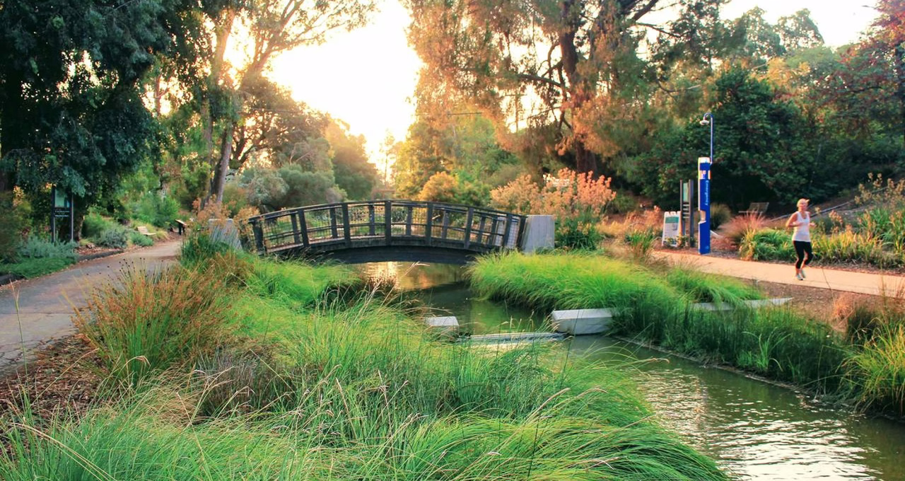 UC Davis Arboretum