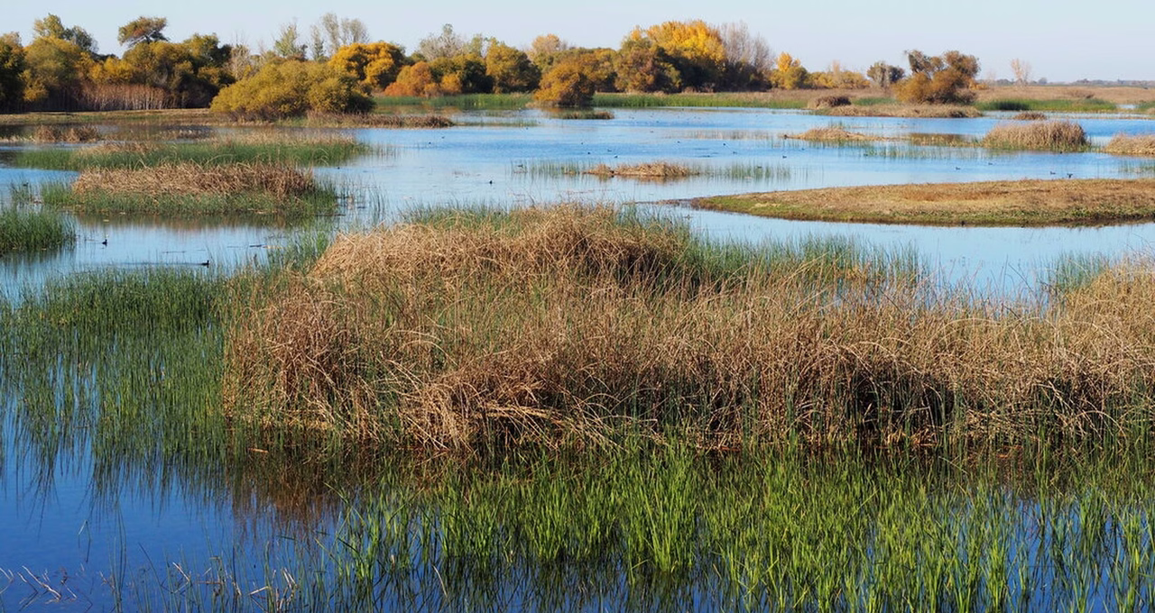 San Luis National Wildlife Refuge