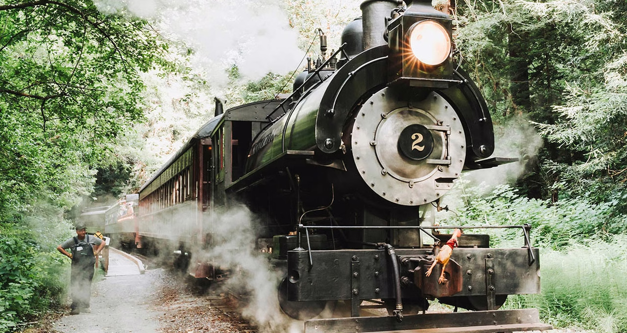The Skunk Train