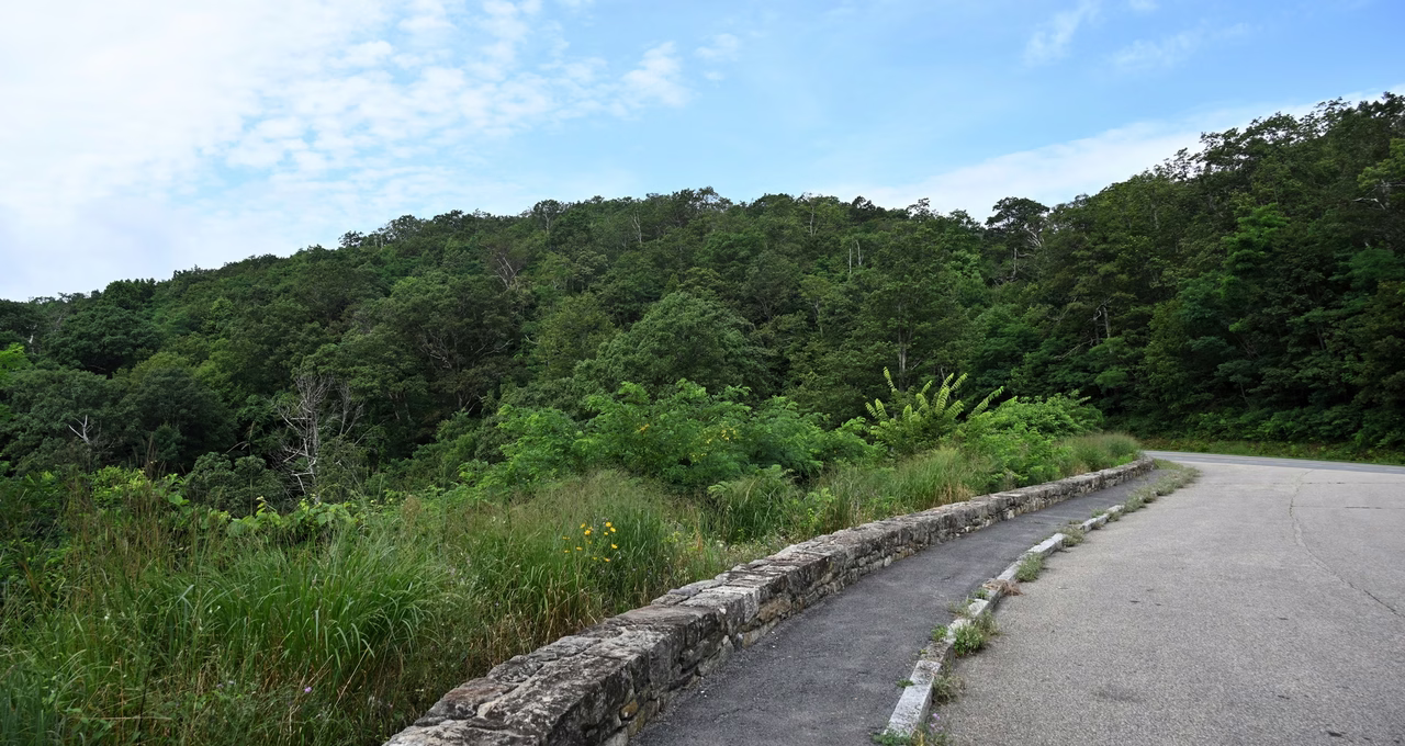 Hazel Mountain Overlook