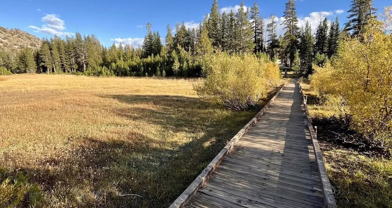 Tahoe Meadows
