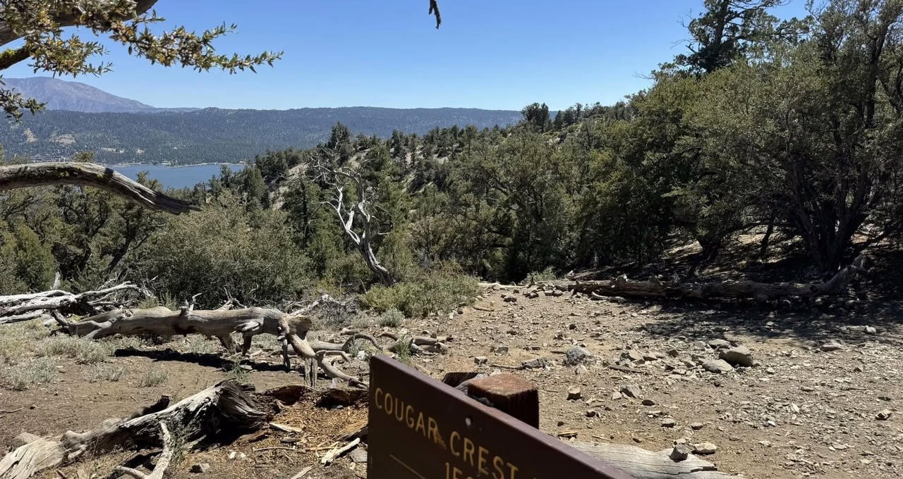Cougar Crest Trail