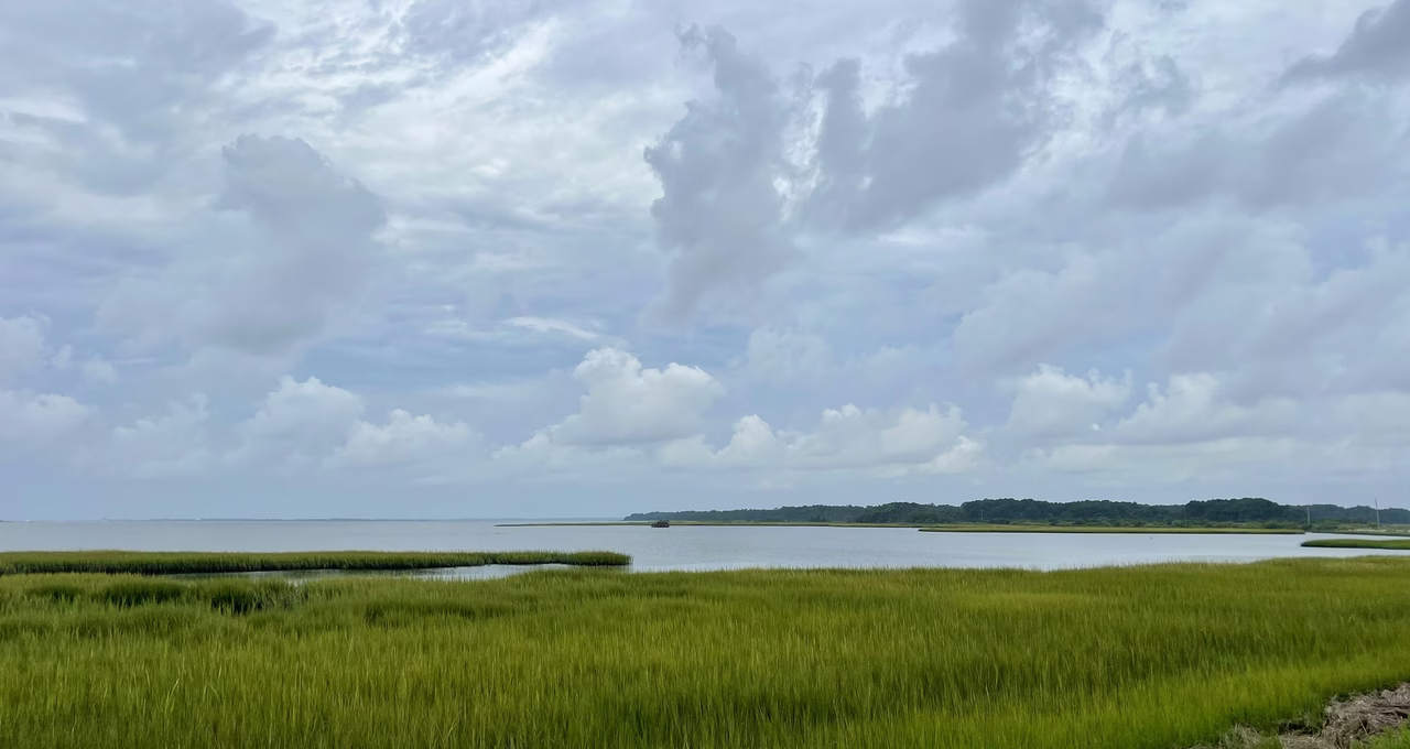 Chincoteague National Wildlife Refuge