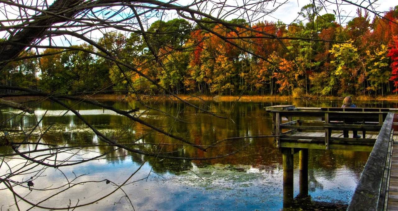 Ewing Pond Park