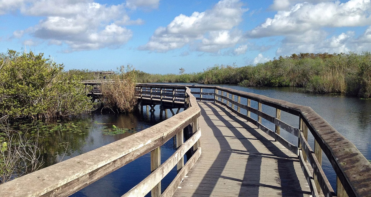 Anhinga Trail (Royal Palm)