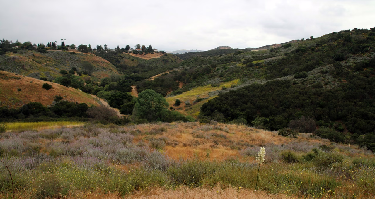 Wildwood Regional Park