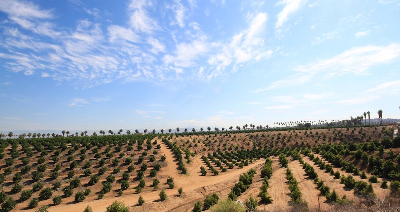 California Citrus State Historic Park