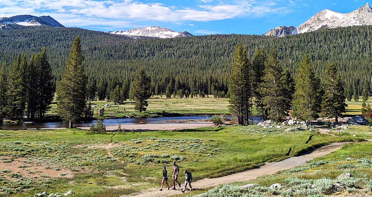 Tuolumne Meadows